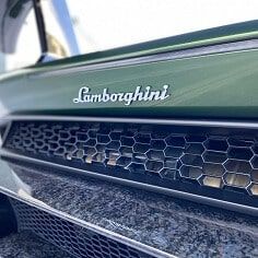 Paint Correction and Vinyl Wrap Services for Lamborghini Models