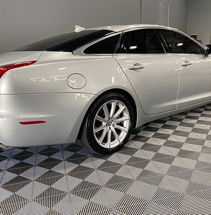 gray Jaguar