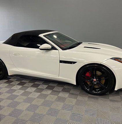 White Jaguar from side