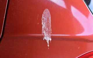 5 Most Common Causes of Damage to Car Paint