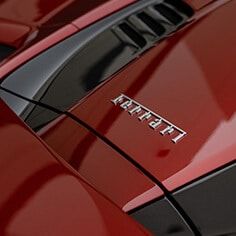 Ferrari Specialized Auto Detailers Offering Paint Correction And Vinyl Wrap Services